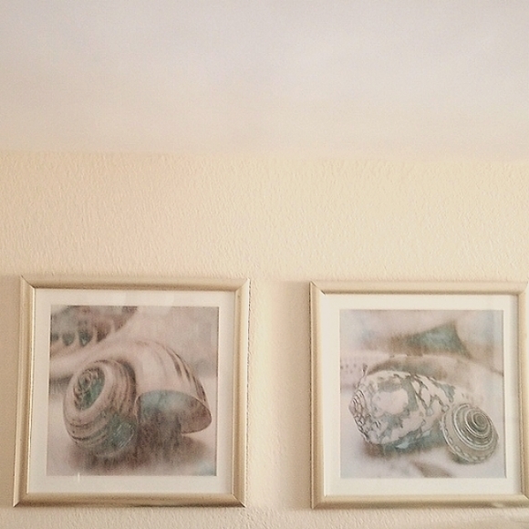 Set of 3 MAT Coastal gems prints/ John Seba . - Picture 4 of 8